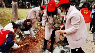长沙周南中学开展“学雷锋志愿者行动”主题植树活动