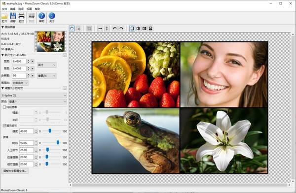 PhotoZoom Pro 8.1破解版下载附安装教程