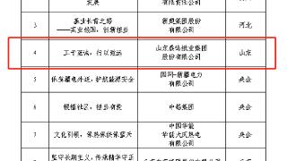 晨鸣集团成功入选2022年度“工业图强”企业史志鉴优秀案例