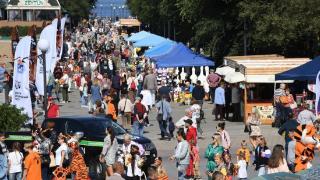 数千人参观符拉迪沃斯托克老虎日庆祝活动