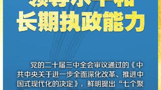 学习新语｜领悟“七个聚焦”：提高党的领导水平和长期执政能力