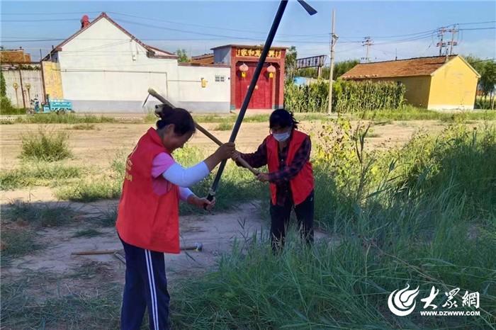 广饶县陈官镇开展“清洁家园 美化环境”志愿服务活动