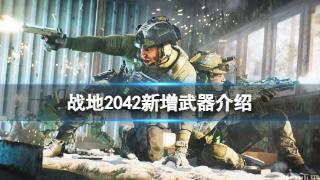 《战地2042》第五赛季新增武器介绍