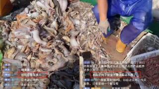 日本“排污入海”后中国渔民直播间遭网暴？渔民呼吁：望理性
