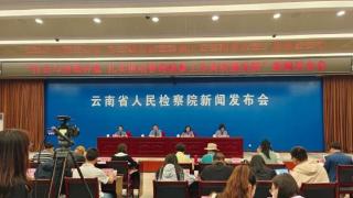 云南省检察机关持续加大对跨境毒品犯罪打击力度