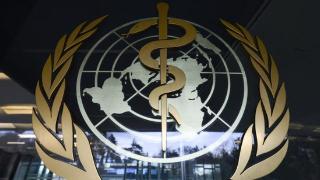 世卫组织：自2024年1月起全球确诊约3100例猴痘病例