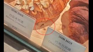 上海网红面包店“翻车”？蟑螂爬进爬出，不是第一次？