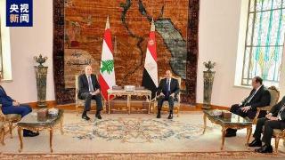 埃及总统塞西同黎巴嫩总理米卡提举行会谈