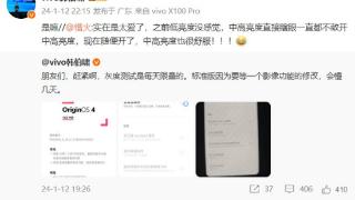 vivo X100屏幕将迎来巨大升级，蓝厂高管如是说