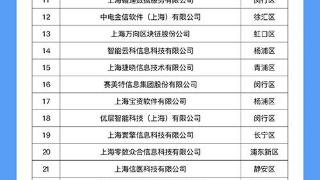 2024上海软件和信息技术服务业“双百”名单发布