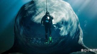 《巨齿鲨2》口碑那么烂，为何全球票房还能迅速突破10亿？