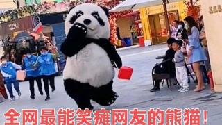 网红调皮搞怪大熊猫到底是谁？为什么跑得那么快？