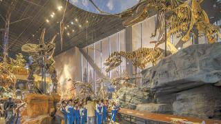 近29万人次沉浸 打卡中国古动物馆