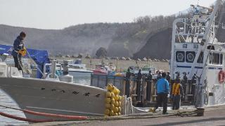 日本正式向世贸提告，要求中国解除海产品禁令，却反被送上被告席