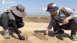 中乌联合考古队在乌国发现贵霜时期大型聚落遗址