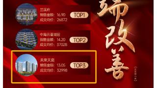 一期100%交付率+13.05亿年销售额！未来天奕霸榜2024年度郑州楼市