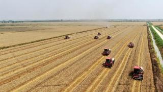 中国耕好“无形良田”保障粮食安全