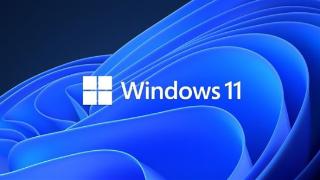 微软承认win10/win11等版本存在问题