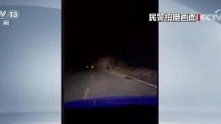 三头棕熊误入独库公路铁力买提隧道 交警一路跟随护送