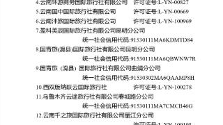 约谈整改从严查处 云南将19家旅行社纳入黑榜