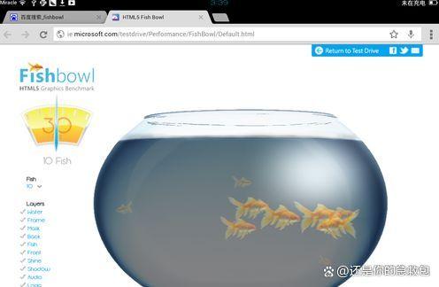 fishbowl鱼缸测试在哪玩