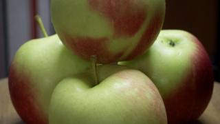 苹果几月份成熟，苹果除了直接吃还可以制作什么美食，一起来探讨