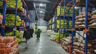 海口市菜篮子集团储备4200吨蔬菜应对台风“苏拉”