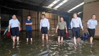 中国人寿财险临沂市中心支公司快速应对暴雨灾害展现责任担当