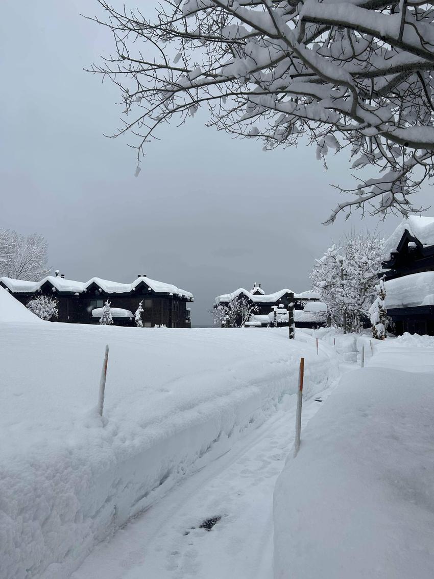 让北美中产维护庭院体面，「Yarbo汉阳科技」上新割草除雪机器人丨最前线