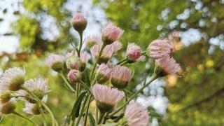 婚姻里，女人的幸福，和钱无关，而是要做到这一点