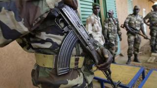 尼日尔动员退役军人抗击圣战分子