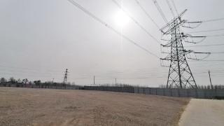 为工业倍增提供电力保障 枣庄政企联动打造电力线路“安全走廊”