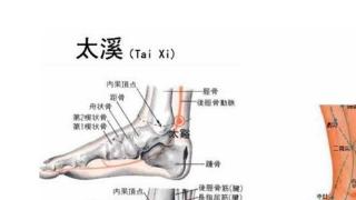 打通小腿不得癌症最根本的原因就是可以促进气血循环，中医拍打