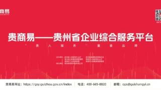 【聚焦数博会】三度亮相数博会 贵商易2024开启助企“新场景、新业态、新模式”