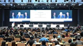 COP29精彩回顾丨阿拉善SEE向全球伙伴分享中国经验