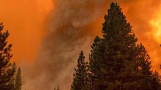 加拿大贾斯珀国家公园野火持续蔓延 2.5万人将撤离