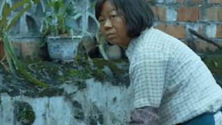 王宝强亲姐出演《八角笼中》，比弟弟更接地气，是公司实际控制人