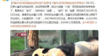 旅加大熊猫“二顺”龙凤胎宝宝名字确定