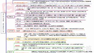 12月28日涨停分析