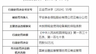 因未按规使用经备案保险条款，平安养老云南分公司被罚50万元