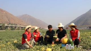 年轻干部“强历练”帮助瓜农解难题