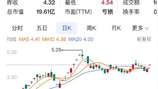 ST三圣重整投资人将注入2.5亿元 河北冀衡集团成第一大股东