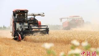安徽小麦抢收基本结束  已收获近4284万亩