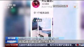 女子打造保护大熊猫人设敛财18万