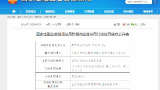 因虚列业务宣传费套取费用，永诚财险黔西南中支合计被罚22万元