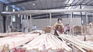 宁化： 笋竹产业促增收