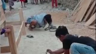 印尼一耍蛇人表演时亲吻眼镜蛇，被蛇咬死