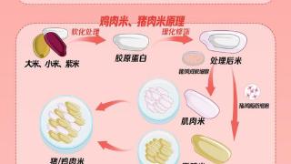 鸡肉米、猪肉米吃过吗？“米肉合一”是怎么研发出来的