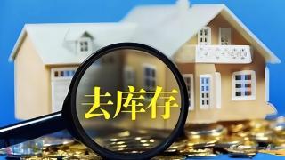 东营、聊城、德州等市部分县域筹划存量房收购，财政局控股国企下场