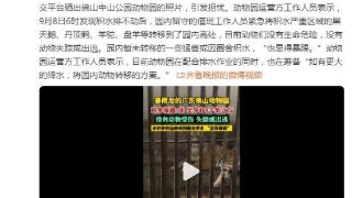 佛山中山公园动物园积水排不动，动物园紧急转移